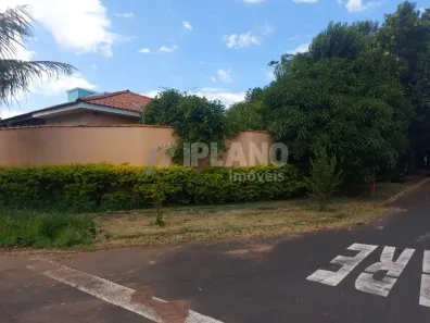 Casa com 5 Quartos à venda, 424m² no Residencial Samambaia, São Carlos