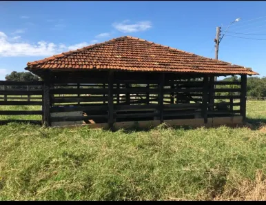 Fazenda/Sítio à venda no , Buritis