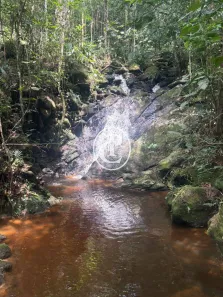 Fazenda/Sítio com 3 Quartos à venda, 2500m² no São Francisco Xavier, São José dos Campos