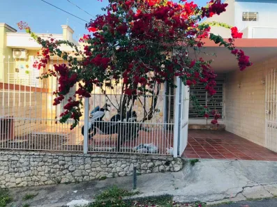 Casa com 2 Quartos para alugar, 100m² no Cidade São Francisco, São Paulo