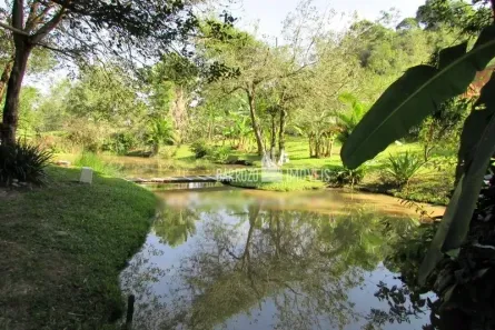 Fazenda/Sítio com 1 Quarto à venda, 7993m² no Agro Brasil, Cachoeiras de Macacu