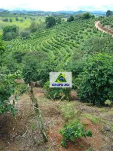 Fazenda/Sítio à venda, 435600m² no , Ouro Fino