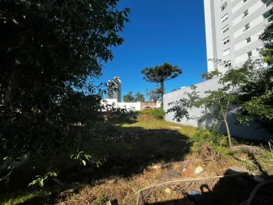 Lote/Terreno para alugar, 720m² no Dom Feliciano, Gravataí