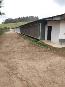 Fazenda/Sítio com 3 Quartos à venda, 181500m² no Curitibanos, Bragança Paulista
