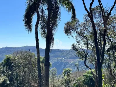 Fazenda/Sítio à venda, 20000m² no , Nova Petrópolis