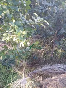 Lote/Terreno à venda, 1000m² no Almeida, Jaboticatubas