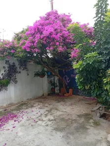 Casa com 2 Quartos à venda, 135m² no Olímpico, São Caetano do Sul