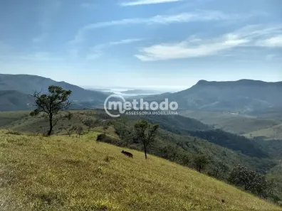 Fazenda/Sítio com 3 Quartos à venda, 123m² no , Ilicínea
