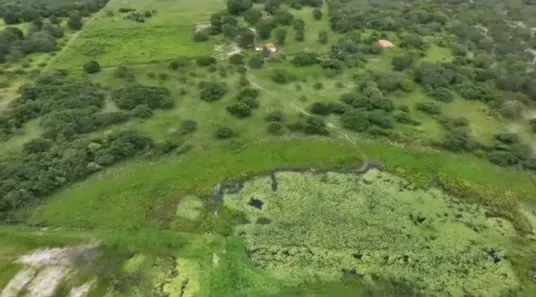 Lote/Terreno à venda, 2500000m² no , Aracati