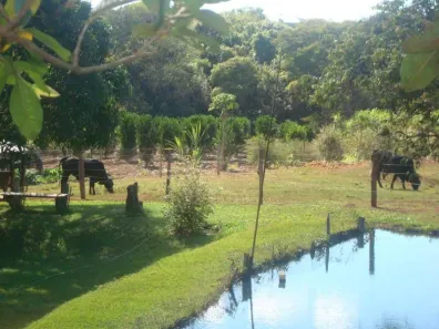 Fazenda/Sítio com 4 Quartos à venda, 30000m² no Mansões de Recreio Estrela Dalva VI, Luziânia