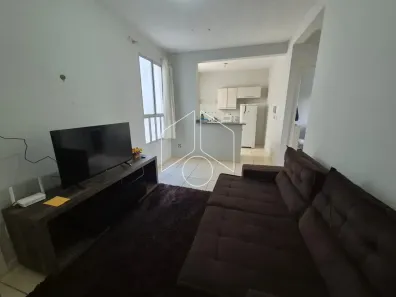 Apartamento com 2 Quartos à venda, 45m² no Jardim Califórnia, Marília