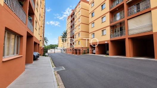 Apartamento com 3 Quartos à venda, 78m² no Jardim Paulicéia, Campinas
