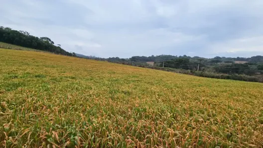 Fazenda/Sítio à venda, 23626m² no Campo Novo, Campo Magro
