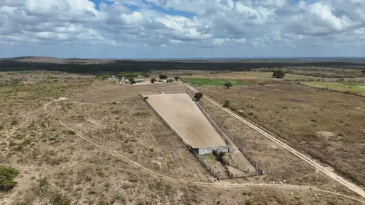 Fazenda/Sítio com 4 Quartos à venda, 800000m² no , Bento Fernandes