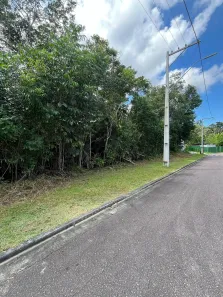 Lote/Terreno com 1 Quarto à venda, 523m² no Ponta Negra, Manaus