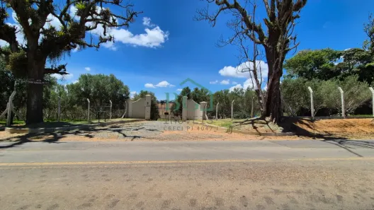 Fazenda/Sítio à venda, 65000m² no Campestrinho, Divinolândia