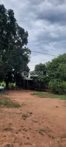 Fazenda/Sítio com 4 Quartos à venda, 145m² no Área Rural de Uberlândia, Uberlândia