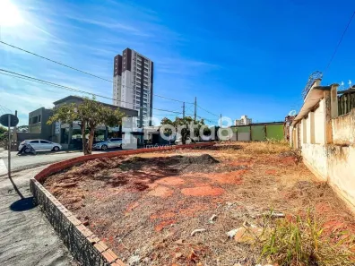 Lote/Terreno para alugar, 310m² no Vila Aurora, São José do Rio Preto