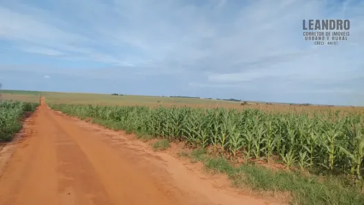 Fazenda/Sítio à venda, 2250000m² no Centro, Assis Chateaubriand