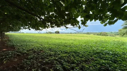 Fazenda/Sítio com 3 Quartos à venda, 9m² no Área Rural de Trindade, Trindade