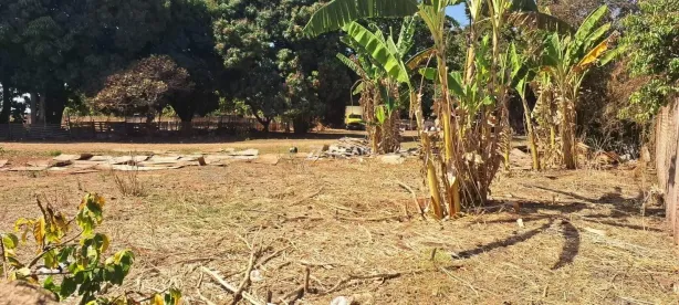 Lote/Terreno à venda, 8000m² no Amoroso Costa, Uberaba