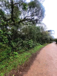 Lote/Terreno à venda, 6500m² no Recreio da Serra, Piraquara