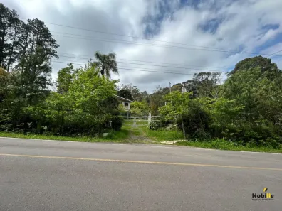 Fazenda/Sítio à venda, 20000m² no , Flores da Cunha