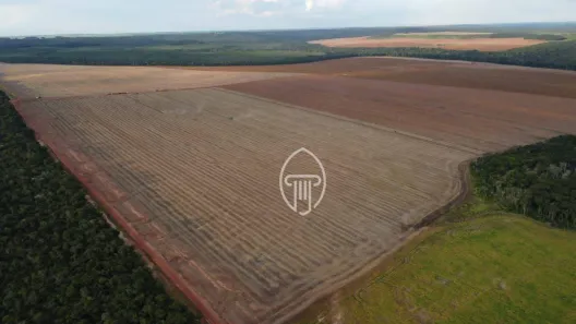 Fazenda/Sítio à venda, 64020000m² no Nova Rússia, Ponta Grossa