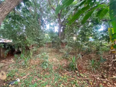Lote/Terreno à venda, 810m² no Jardim Recreio, Ribeirão Preto