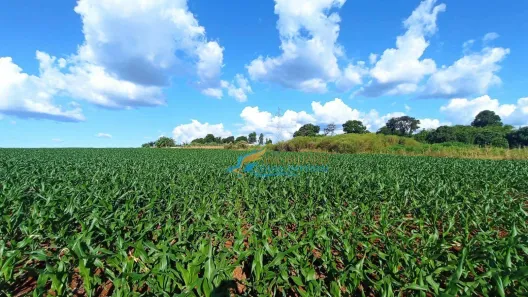 Lote/Terreno à venda, 23405m² no São Salvador, Cascavel