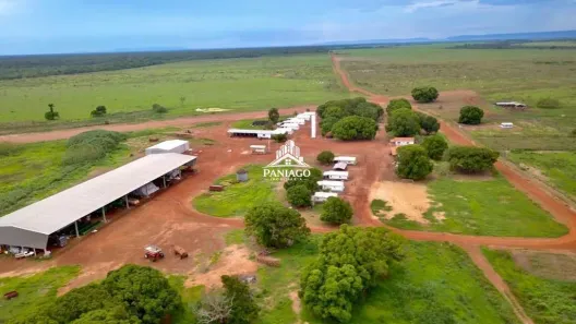 com 3 Quartos à venda, 180000m² no , Confresa