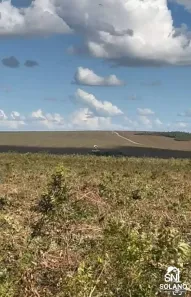 Fazenda/Sítio com 3 Quartos à venda, 8200m² no , Paranatinga