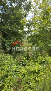 Lote/Terreno à venda, 482m² no Centro, São Francisco de Paula