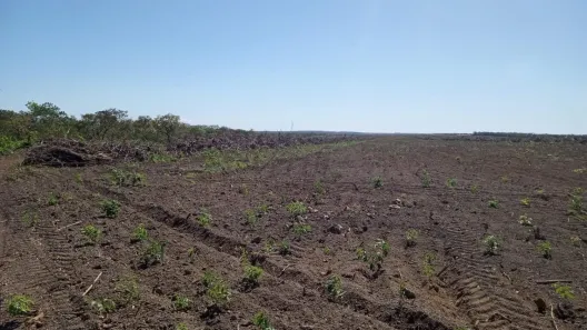 Fazenda/Sítio com 5 Quartos à venda, 665m² no Setor Central, Santa Rita do Tocantins