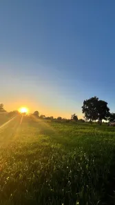 Fazenda/Sítio à venda, 500m² no Parque Monte Libano, Araçoiaba da Serra