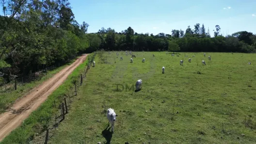 Fazenda/Sítio com 10 Quartos à venda, 500m² no Jataizinho, Jataizinho