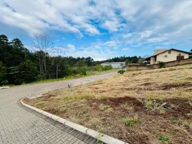 Lote/Terreno à venda, 486m² no Concórdia, Ivoti