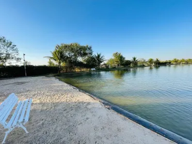 Fazenda/Sítio à venda, 12m² no , Bela Vista de Goiás