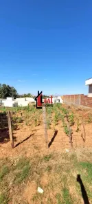 Lote/Terreno à venda, 253m² no Centro, Presidente Prudente