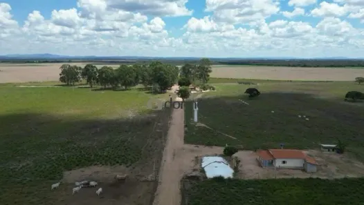 Fazenda/Sítio com 2 Quartos à venda, 200m² no Patagônia, Lagoa Grande