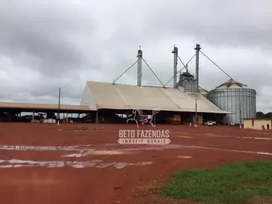 Fazenda/Sítio à venda, 185300000m² no , Porto dos Gaúchos