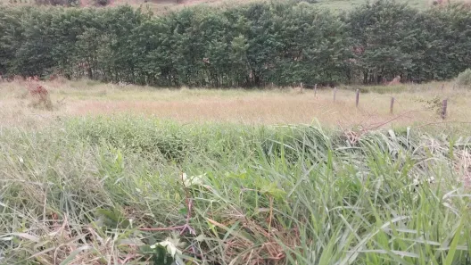 Lote/Terreno à venda, 270m² no Nova Suíça, Piracaia