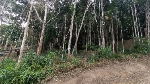 Lote/Terreno à venda, 600m² no Arraial D'Ajuda, Porto Seguro