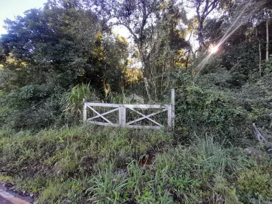 Fazenda/Sítio à venda, 48540m² no , Nova Petrópolis