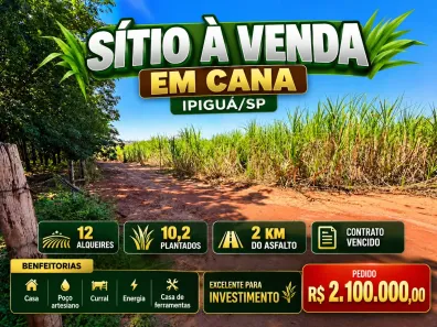 Fazenda/Sítio com 2 Quartos à venda, 290400m² no Centro, Ipiguá