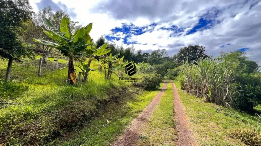 Fazenda/Sítio à venda, 7220m² no Vale Esquerdo, Dois Irmãos