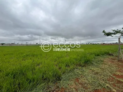 Lote/Terreno à venda, 275m² no Grand Ville, Uberlândia