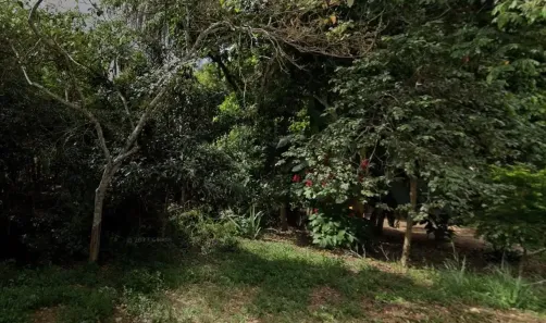 Fazenda/Sítio à venda, 300m² no , Jaboticatubas