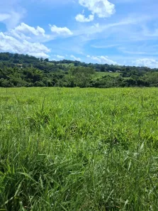 Fazenda/Sítio com 3 Quartos à venda, 169400m² no Centro, Batatais