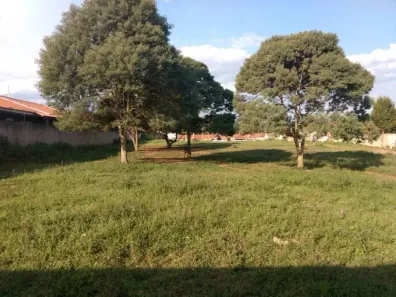 Lote/Terreno à venda, 6050m² no Campo Largo da Roseira, São José dos Pinhais